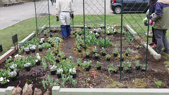 リラの会の花壇２