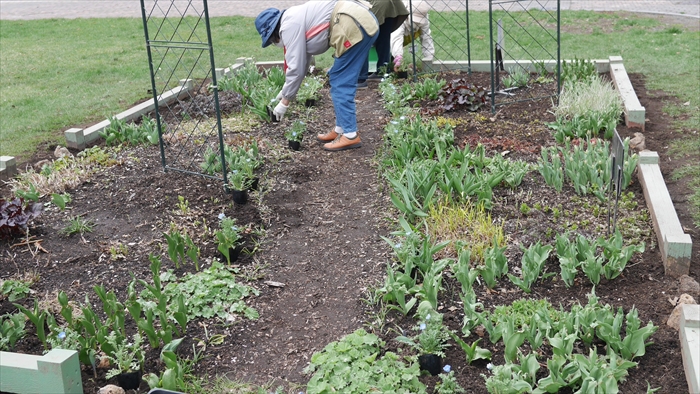 リラの会の花壇４