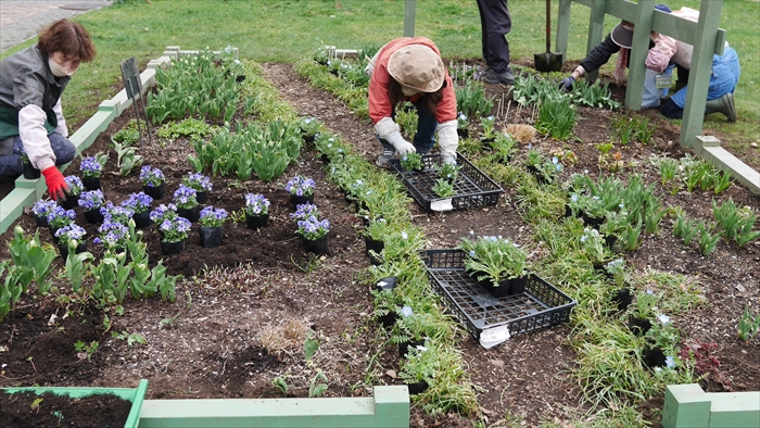 リラの会の花壇３