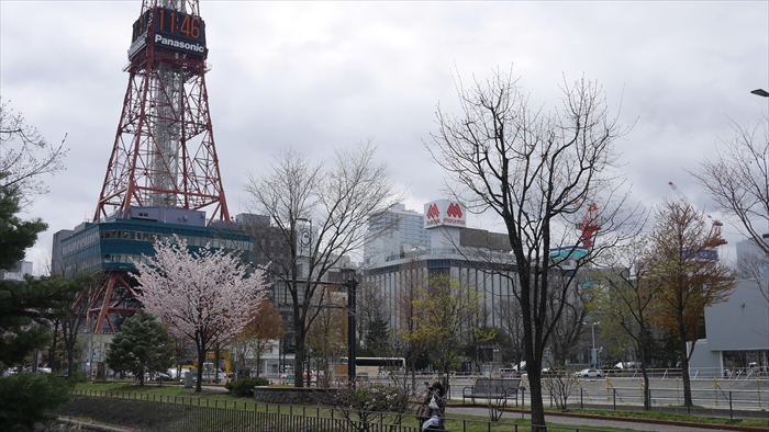 桜咲く創成川公園