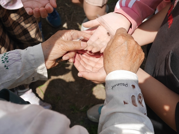 掌に載せられたアマのたね