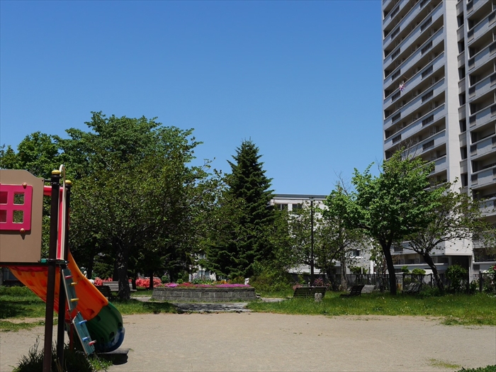 光星緑地の花壇
