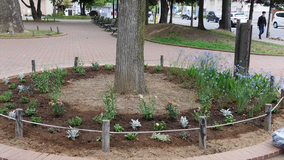 植込みの終わった花壇