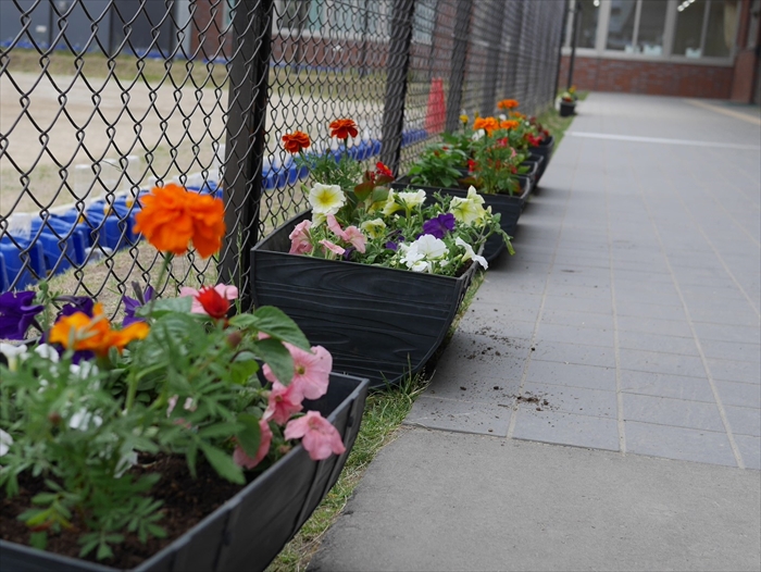 玄関前のプランター