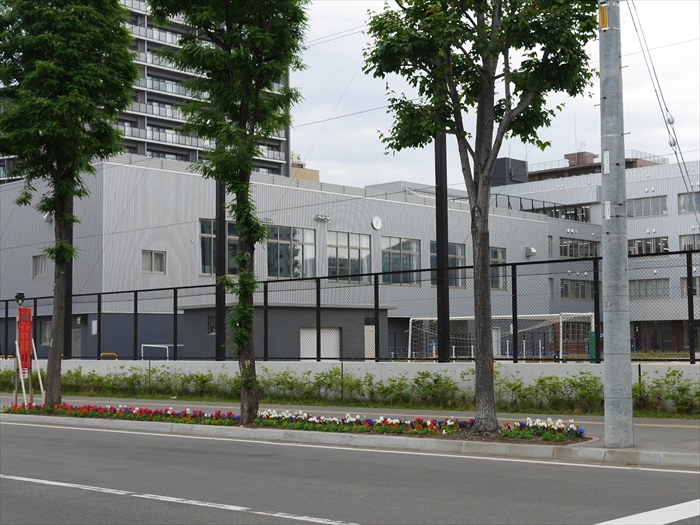 小学校周辺の花