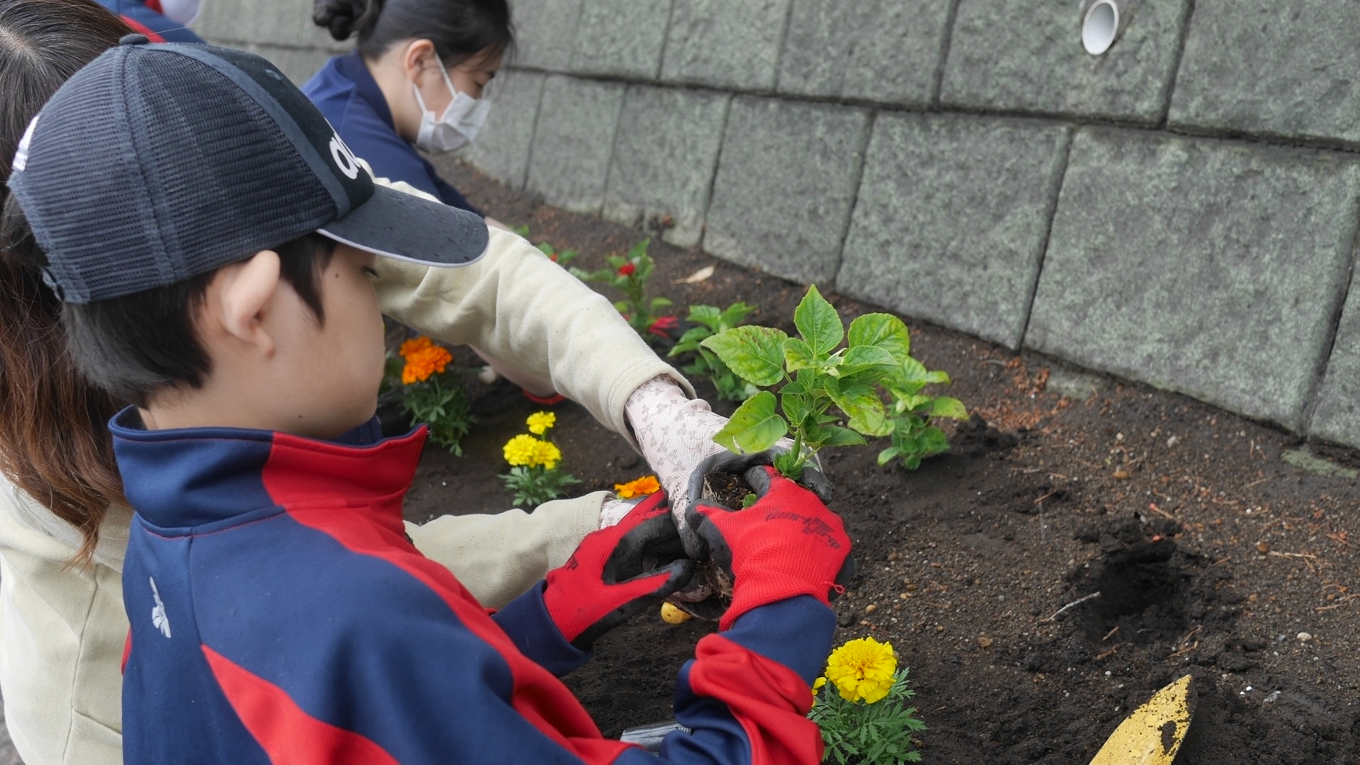 花苗を生徒さんとボランティアさんが一緒に植えている様子