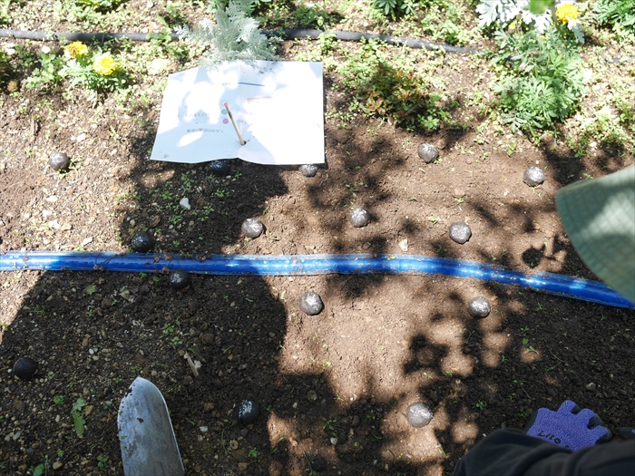 花壇へたねダンゴを配置している