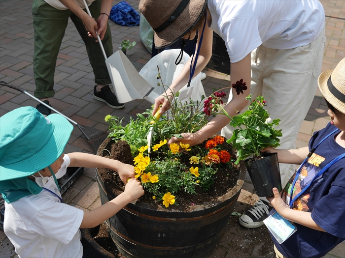 マイリトルガーデン　夏苗に植替えの様子