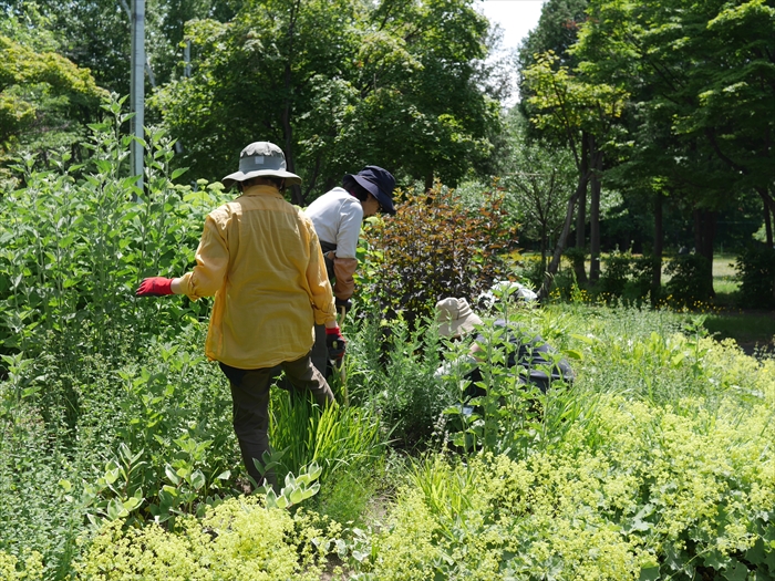 作業の確認をしている