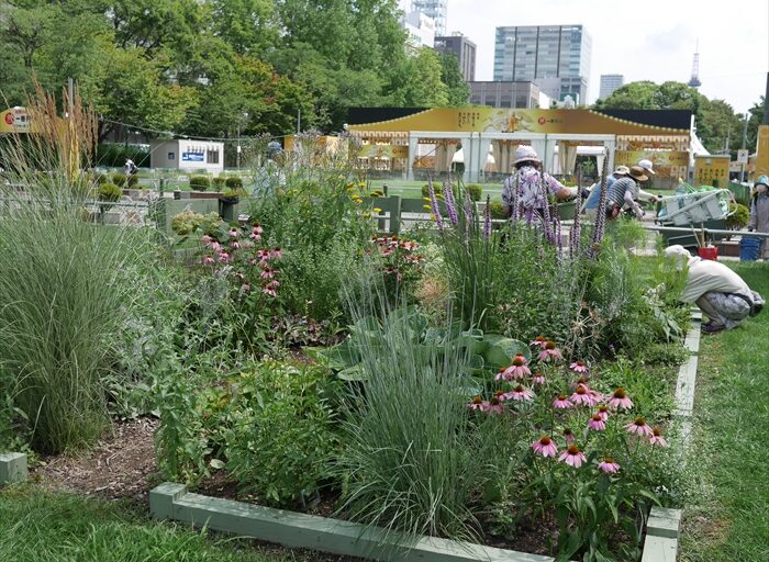 リラの会の花壇