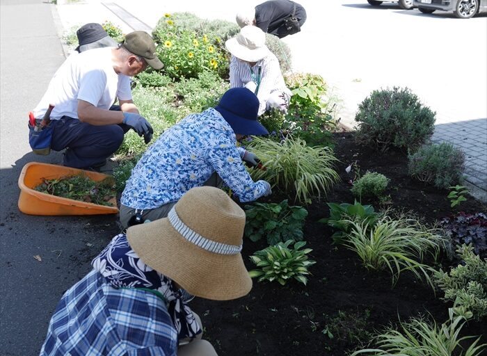 メンテナンスの様子