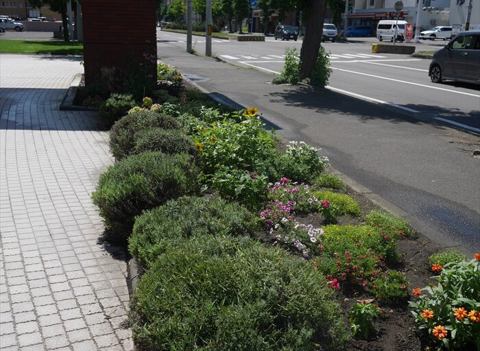 メンテナンス後の様子