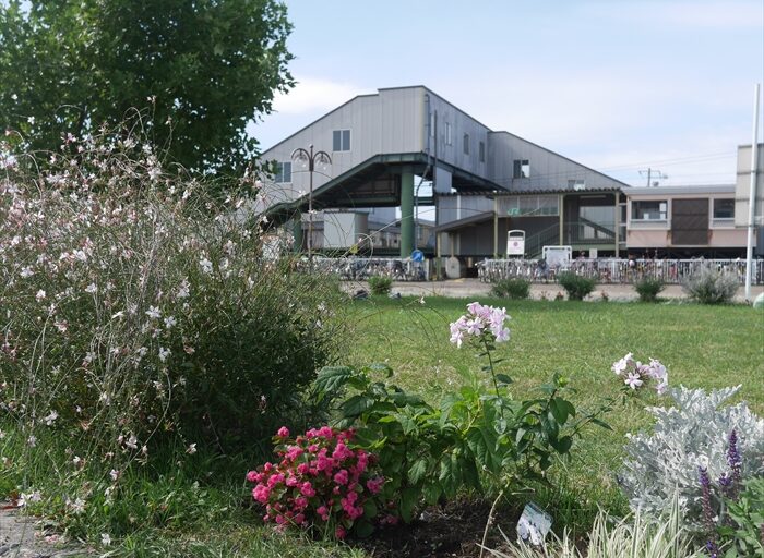 百合が原花壇を造り隊の花壇の様子