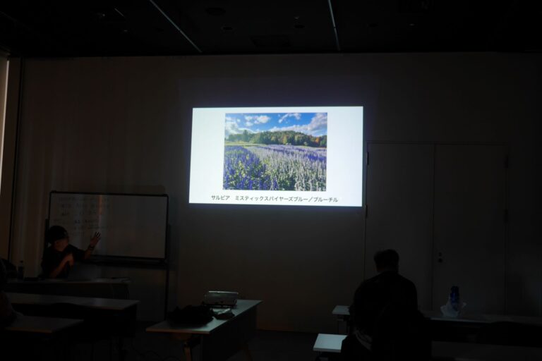 滝野すずらん丘陵公園の花壇の様子