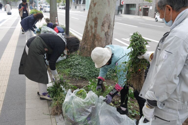 花壇片付けの様子