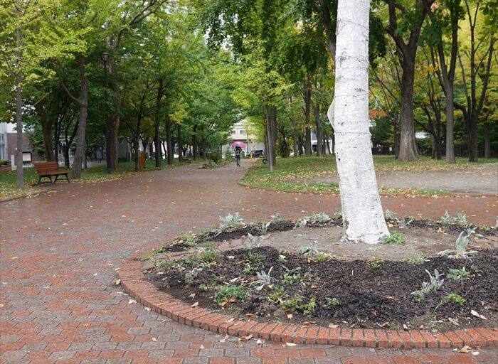 片付け終わった花壇の様子