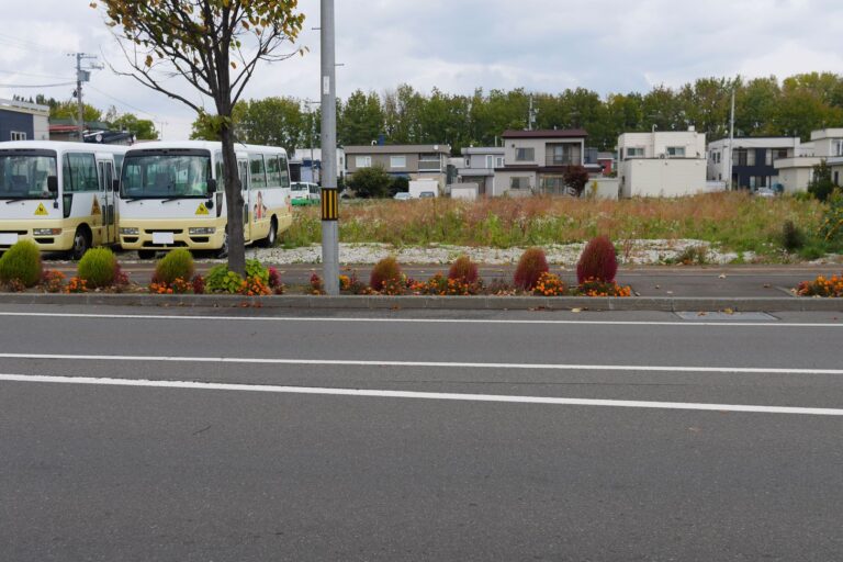 第46回ます花壇優良制作者表彰された西第三町内会花壇