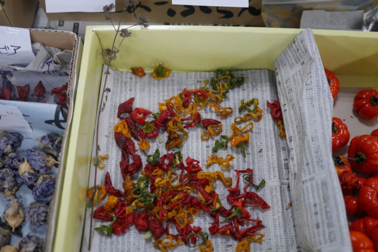 リースの材料となるパプリカのスライスとソラナム