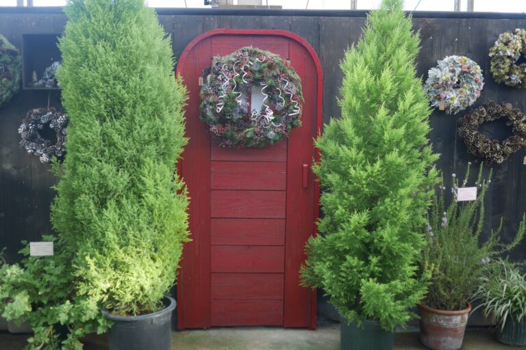 百合が原公園「クリスマスディスプレイ展」の様子