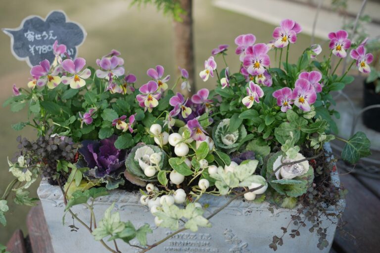 パンジー・ビオラを使った寄せ植え