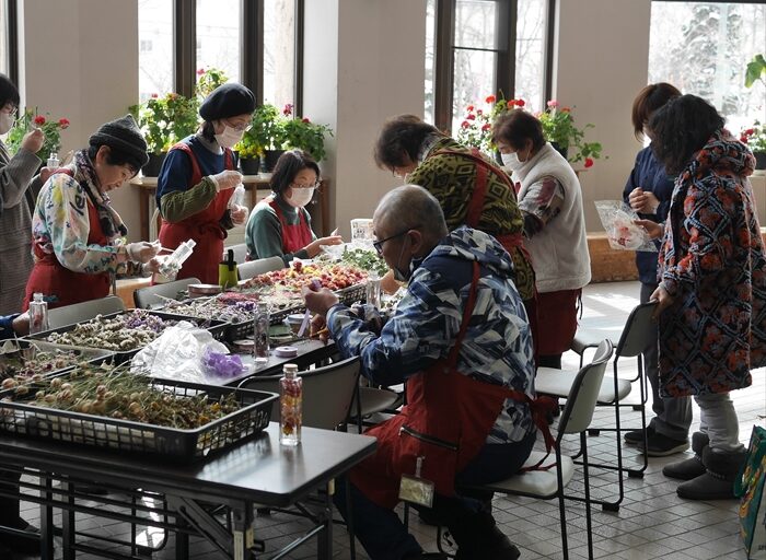 カポックの冬の活動