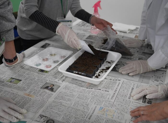 土を入れているところ