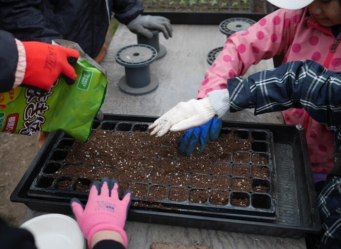 土を入れているところ