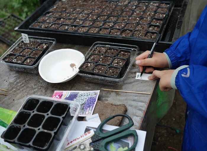 プランツネームの記入