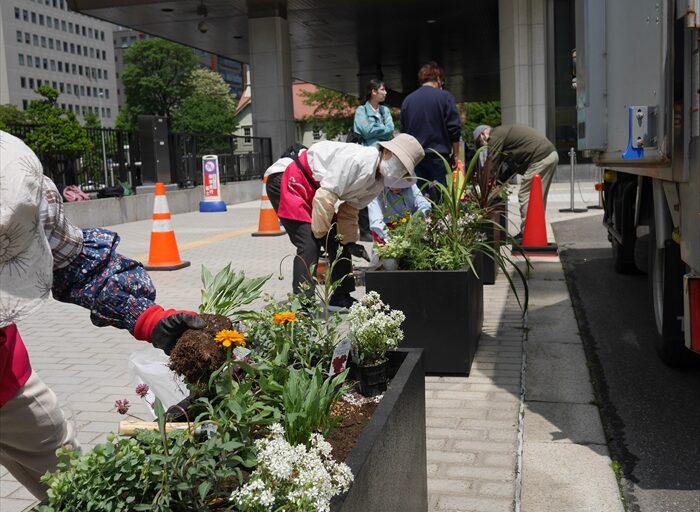 苗の配置や植え込みをしている