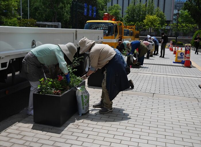 他のボランティア団体の植え込みの様子