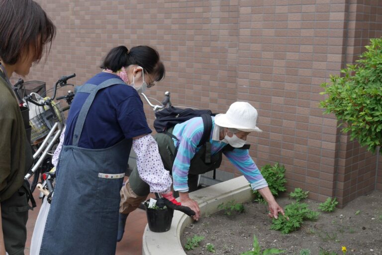 植えた覚えのない植物を観察している様子