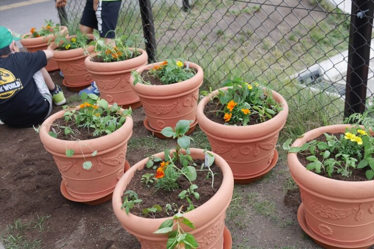 できあがったフラワープランター