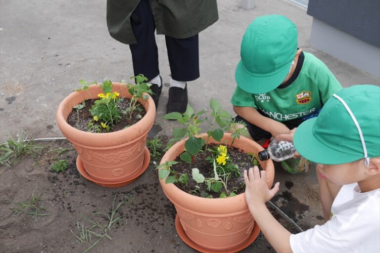 水やりをしている