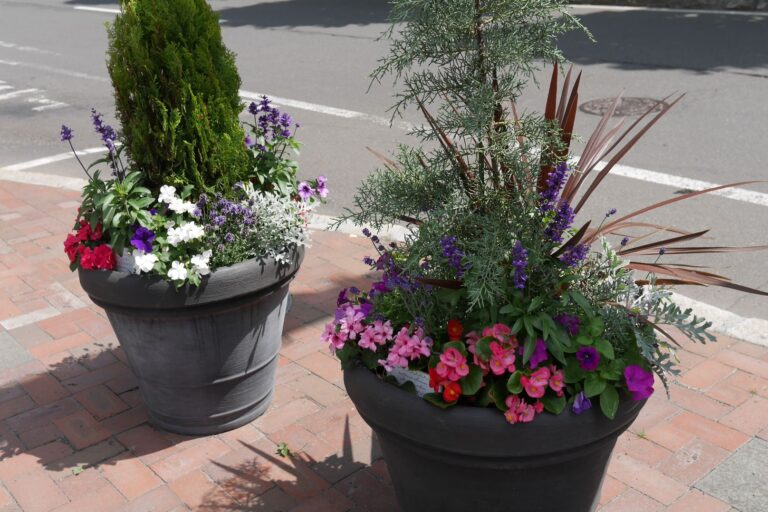 メンテナンス前のプランター