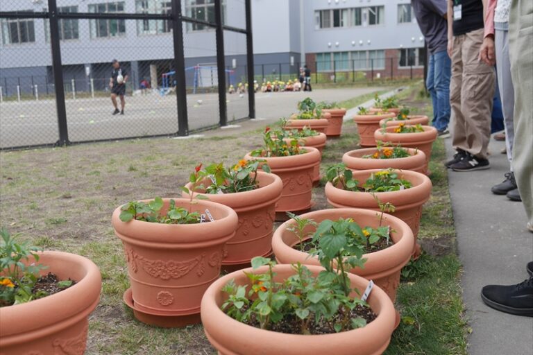 成長したフラワープランター