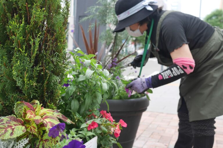 メンテナンスのようす