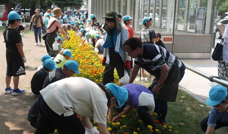 はながらつみのようす