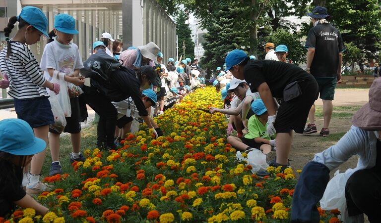 花がらつみのようす