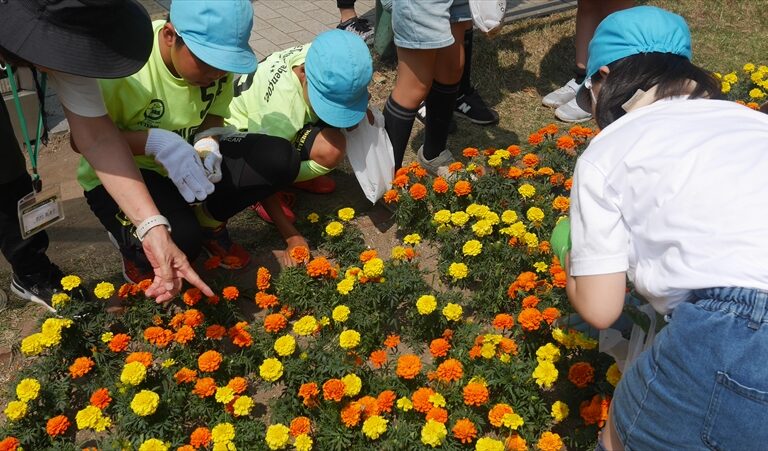 花がらをつんでいる