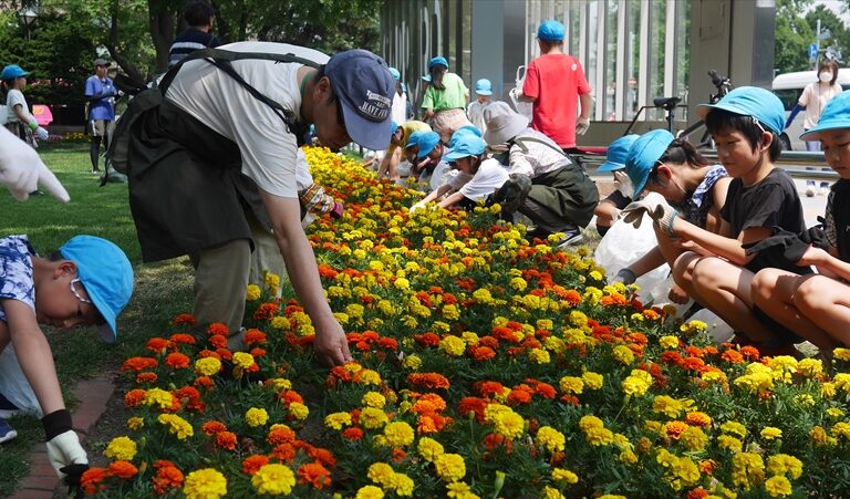 花がらをつんでいる