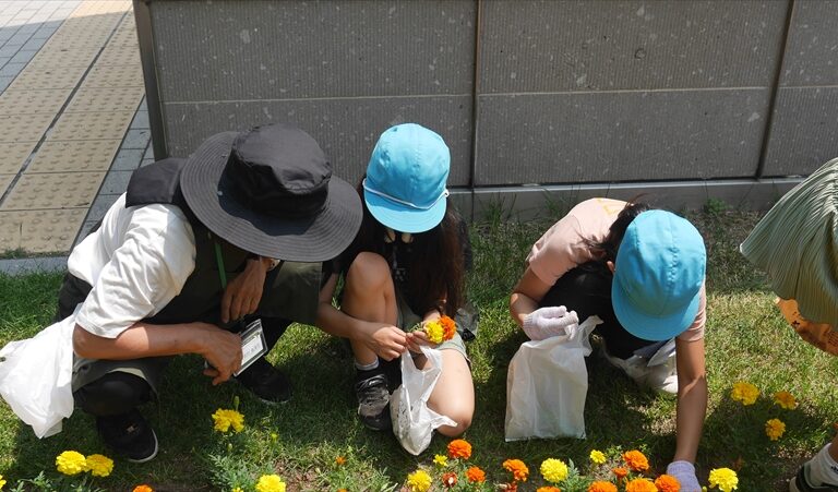 はながらつみのようす