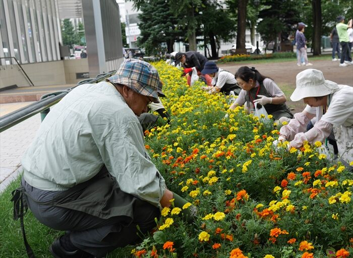 西2丁目の花壇メンテナンスのようす
