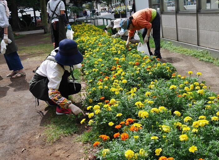 メンテナンスのようす