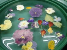 お水を入れたところ