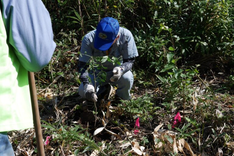 植え方の説明をしている様子