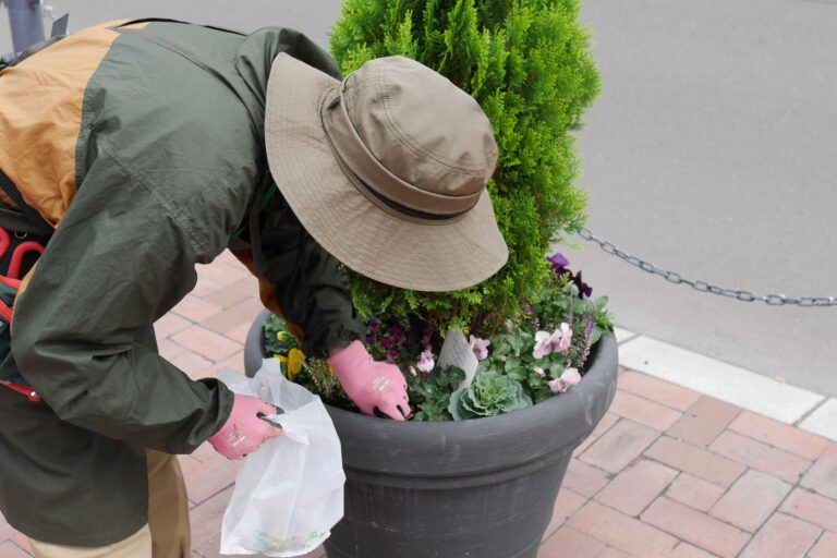 メンテナンスしている手元の様子