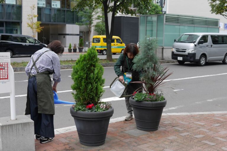 水やりのようす