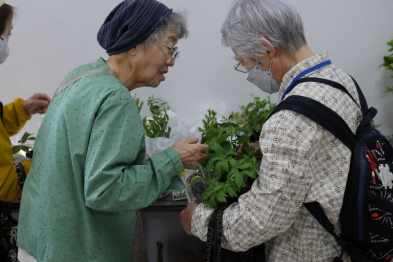 持ってきた植物について説明している様子