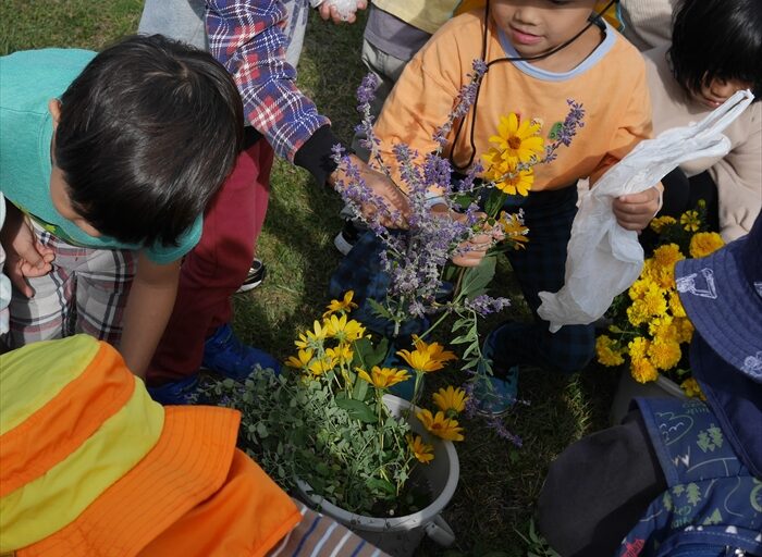 花を選んでいる
