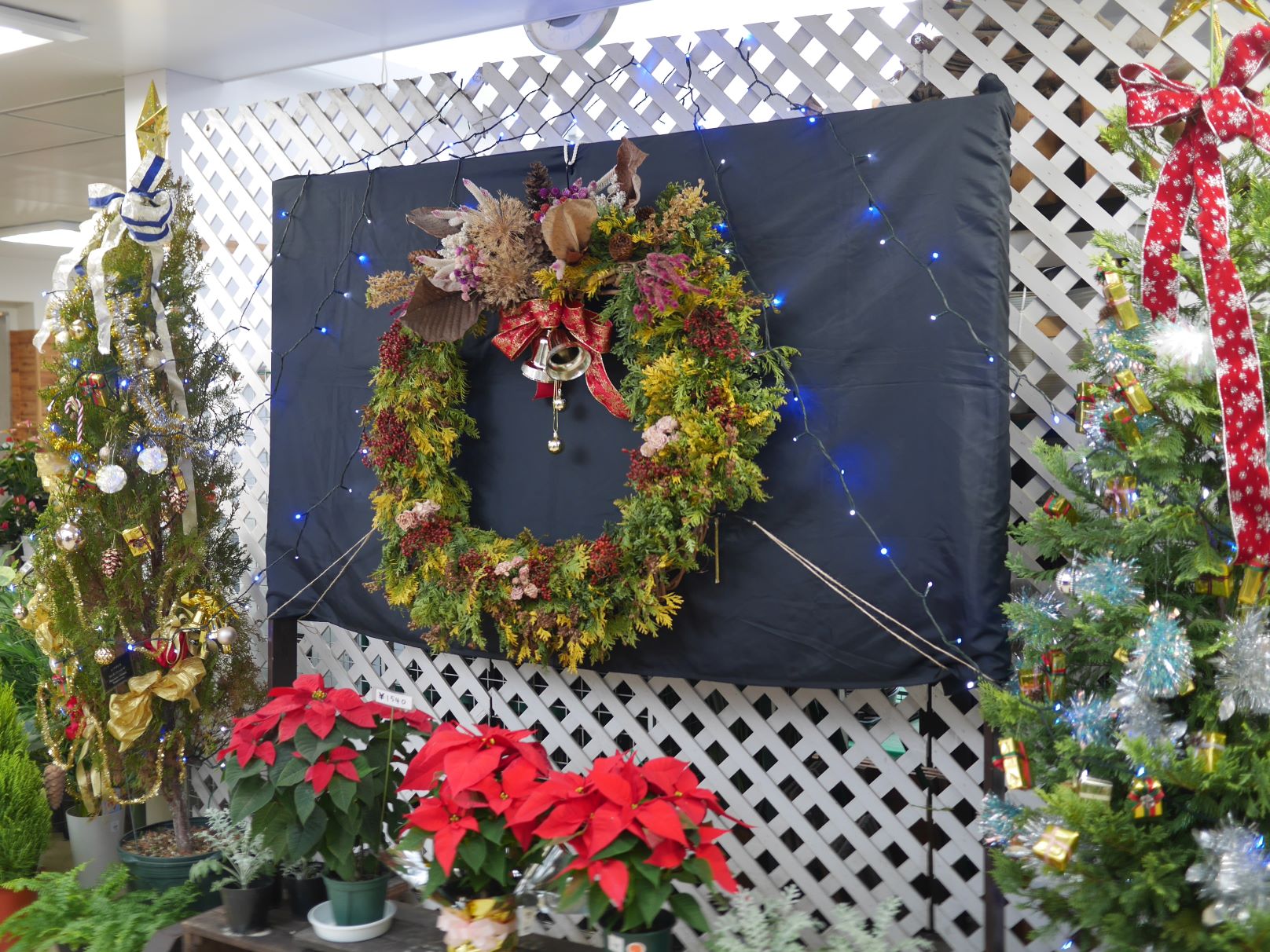 豊平公園花とハーブの会の皆さんで作った大リース